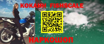 бошки Сланцы
