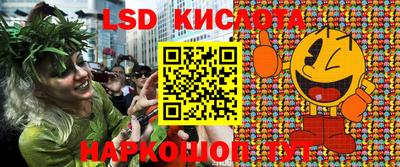 бошки Сланцы