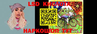 бошки Сланцы