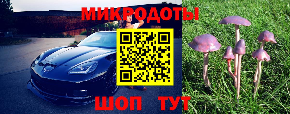 Псилоцибиновые грибы ЛСД Рязань