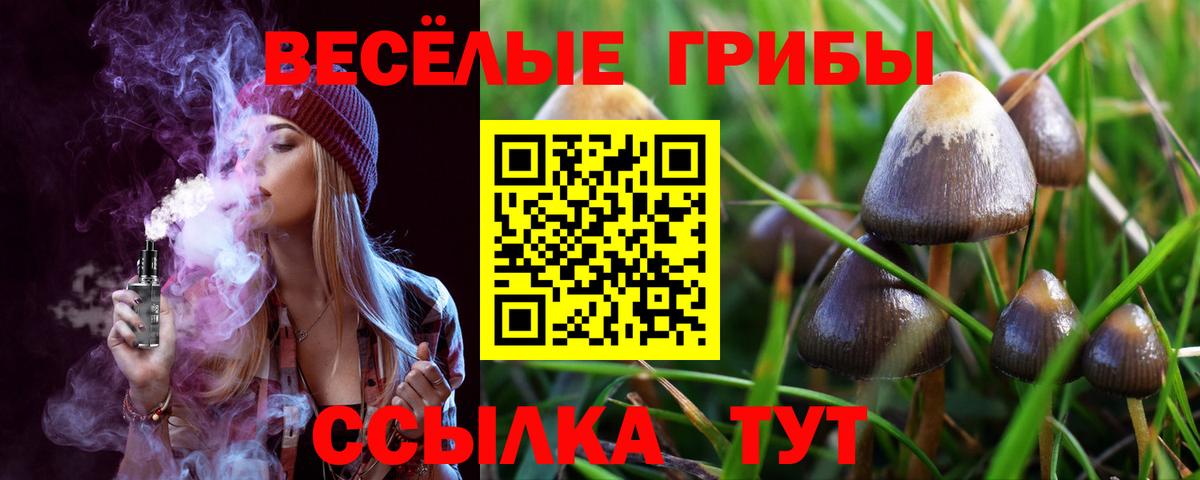Псилоцибиновые грибы Psilocybe  сколько стоит  Рязань  Галлюциногенные грибы мицелий  Вход с VPN 